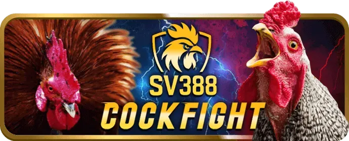 Hướng dẫn tải và cài đặt Vicwin APK